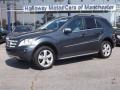 2010 Steel Grey Metallic Mercedes-Benz ML 350 4Matic  photo #1