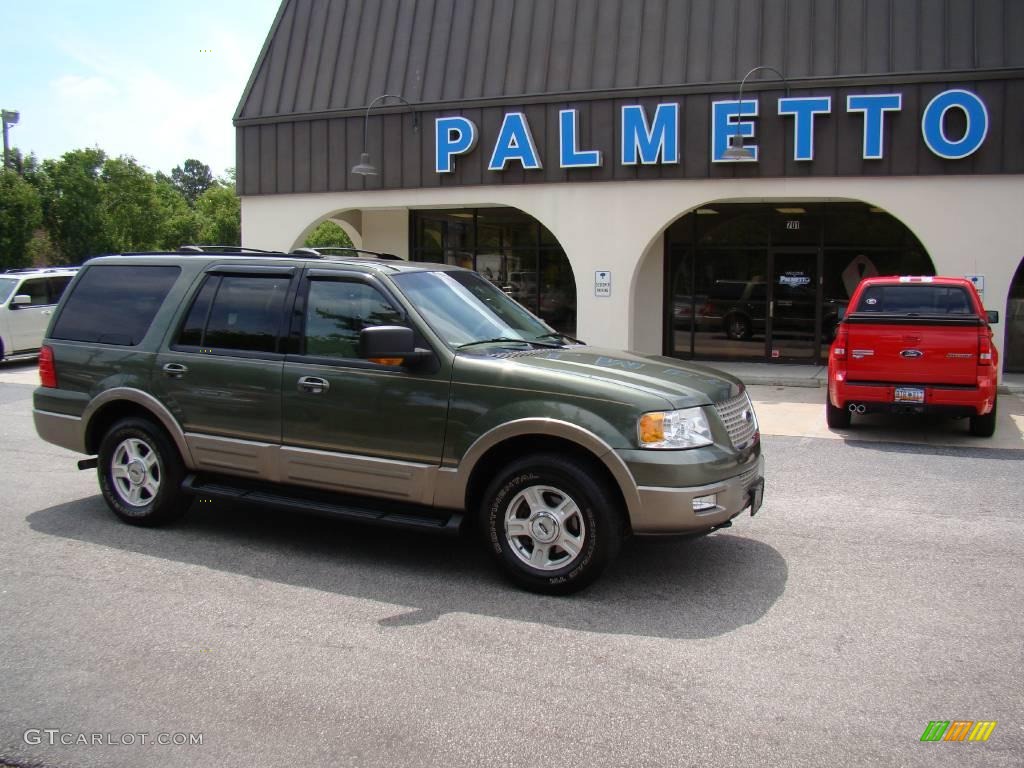 2003 Expedition Eddie Bauer 4x4 - Estate Green Metallic / Medium Parchment photo #2