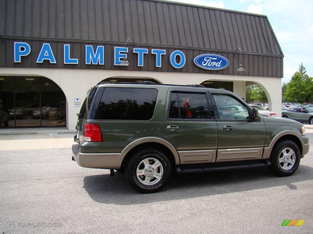 2003 Expedition Eddie Bauer 4x4 - Estate Green Metallic / Medium Parchment photo #3