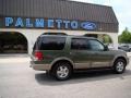 2003 Estate Green Metallic Ford Expedition Eddie Bauer 4x4  photo #3