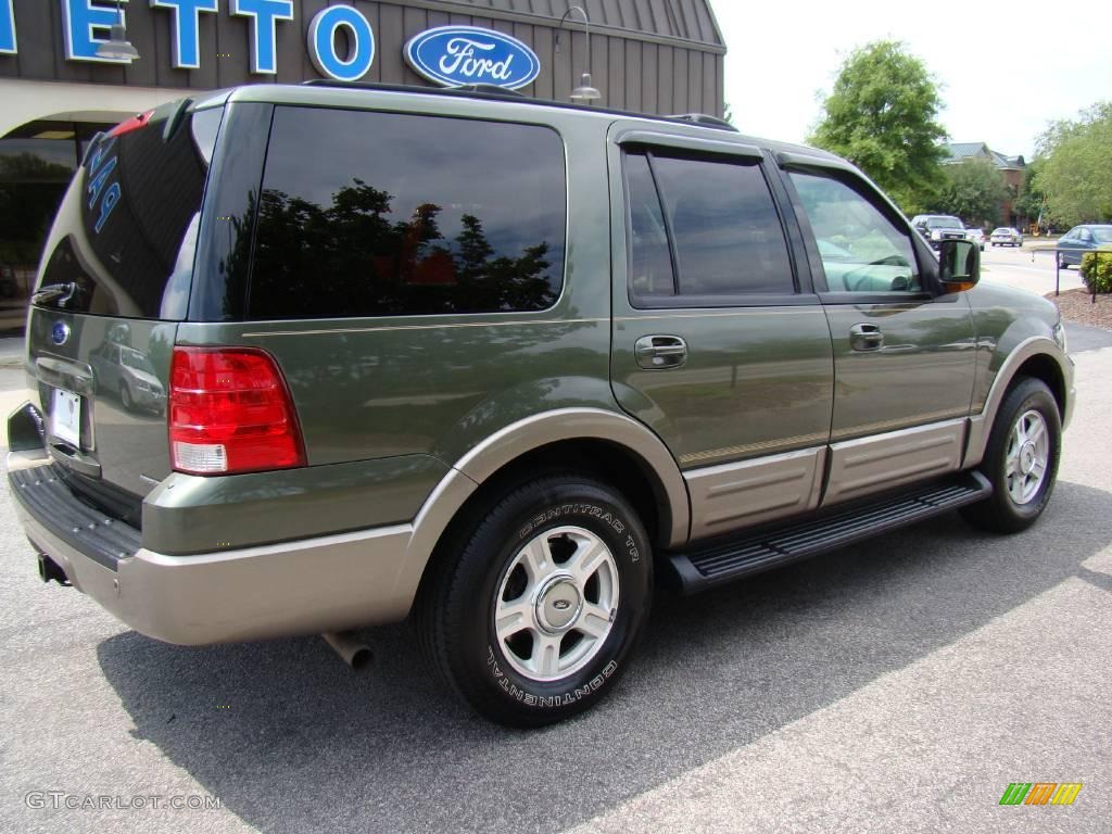 2003 Expedition Eddie Bauer 4x4 - Estate Green Metallic / Medium Parchment photo #4