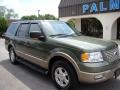 2003 Estate Green Metallic Ford Expedition Eddie Bauer 4x4  photo #5