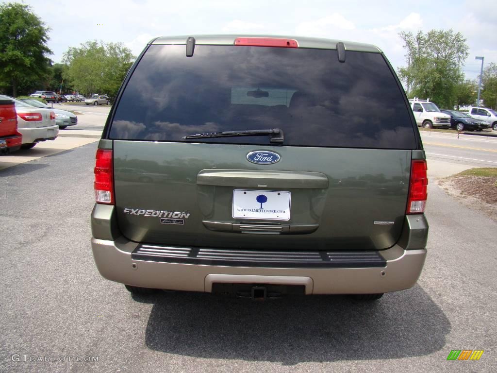 2003 Expedition Eddie Bauer 4x4 - Estate Green Metallic / Medium Parchment photo #6