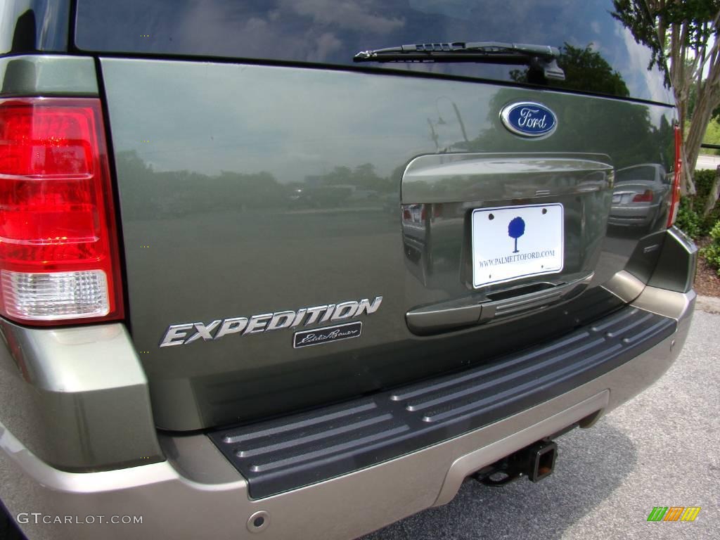 2003 Expedition Eddie Bauer 4x4 - Estate Green Metallic / Medium Parchment photo #8