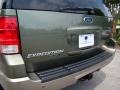 2003 Estate Green Metallic Ford Expedition Eddie Bauer 4x4  photo #8