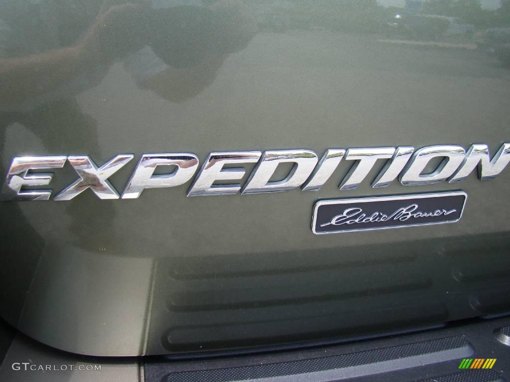 2003 Expedition Eddie Bauer 4x4 - Estate Green Metallic / Medium Parchment photo #9