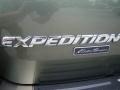 2003 Estate Green Metallic Ford Expedition Eddie Bauer 4x4  photo #9
