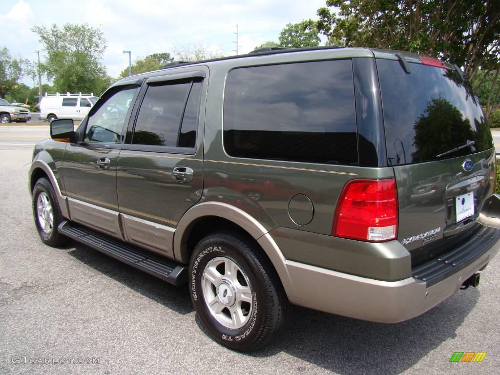 2003 Expedition Eddie Bauer 4x4 - Estate Green Metallic / Medium Parchment photo #10