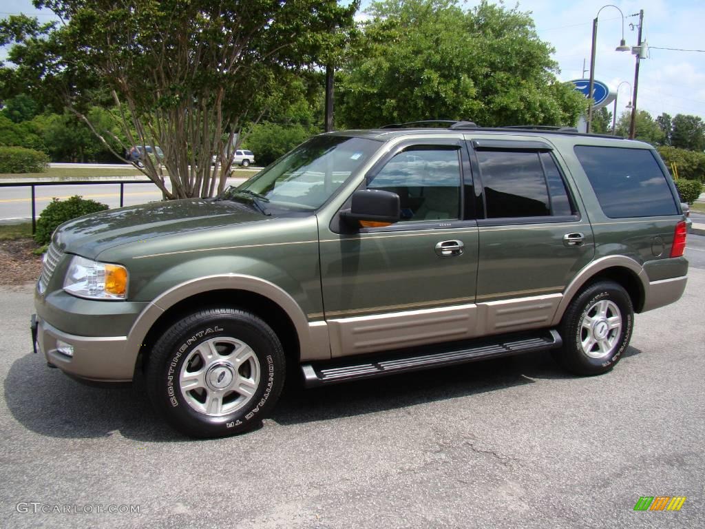 2003 Expedition Eddie Bauer 4x4 - Estate Green Metallic / Medium Parchment photo #12