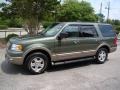 2003 Estate Green Metallic Ford Expedition Eddie Bauer 4x4  photo #12