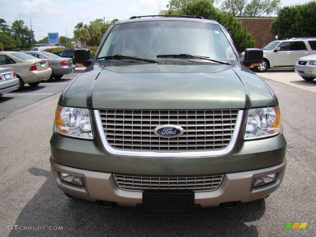 2003 Expedition Eddie Bauer 4x4 - Estate Green Metallic / Medium Parchment photo #13
