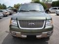 2003 Estate Green Metallic Ford Expedition Eddie Bauer 4x4  photo #13