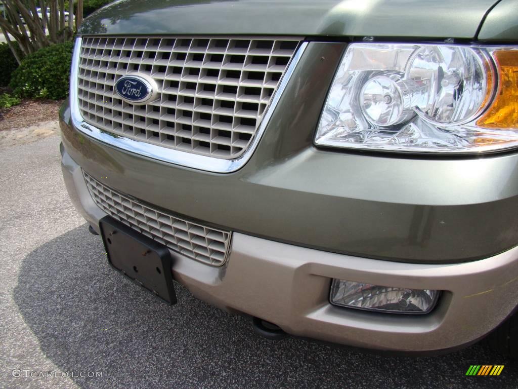 2003 Expedition Eddie Bauer 4x4 - Estate Green Metallic / Medium Parchment photo #14