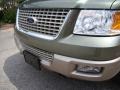 2003 Estate Green Metallic Ford Expedition Eddie Bauer 4x4  photo #14