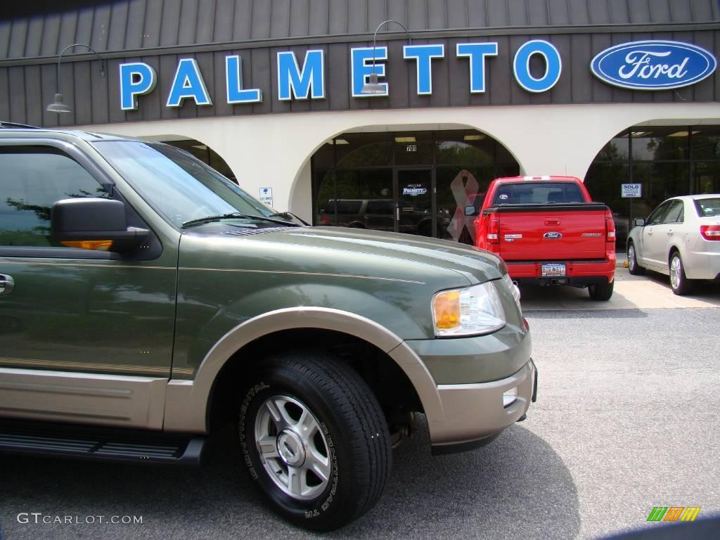 2003 Expedition Eddie Bauer 4x4 - Estate Green Metallic / Medium Parchment photo #38