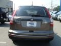 2010 Urban Titanium Metallic Honda CR-V LX AWD  photo #5