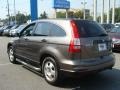 2010 Urban Titanium Metallic Honda CR-V LX AWD  photo #6