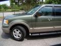 2003 Estate Green Metallic Ford Expedition Eddie Bauer 4x4  photo #39