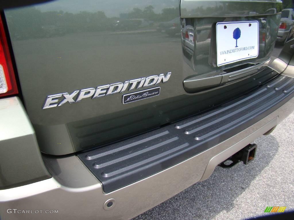 2003 Expedition Eddie Bauer 4x4 - Estate Green Metallic / Medium Parchment photo #41
