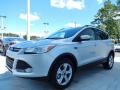 2014 Ingot Silver Ford Escape SE 2.0L EcoBoost  photo #1