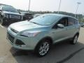 2013 Frosted Glass Metallic Ford Escape SEL 1.6L EcoBoost  photo #5