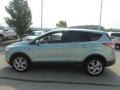 2013 Frosted Glass Metallic Ford Escape SEL 1.6L EcoBoost  photo #6
