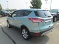 2013 Frosted Glass Metallic Ford Escape SEL 1.6L EcoBoost  photo #8