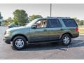 2005 Estate Green Metallic Ford Expedition XLT 4x4  photo #3