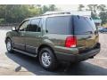 2005 Estate Green Metallic Ford Expedition XLT 4x4  photo #4