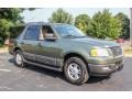 2005 Estate Green Metallic Ford Expedition XLT 4x4  photo #8
