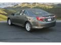 Cypress Pearl - Camry XLE Photo No. 3