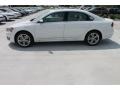 Candy White - Passat TDI SE Photo No. 5
