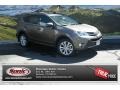 Pyrite Mica - RAV4 Limited AWD Photo No. 1