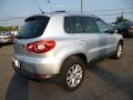 Reflex Silver Metallic - Tiguan SEL 4Motion Photo No. 7