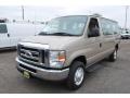 Pueblo Gold Metallic - E Series Van E350 XLT Passenger Photo No. 10