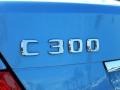 2010 Quartz Blue Metallic Mercedes-Benz C 300 Sport  photo #9