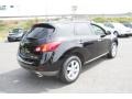 2010 Super Black Nissan Murano SL AWD  photo #6