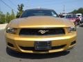 2010 Sunset Gold Metallic Ford Mustang V6 Premium Convertible  photo #2
