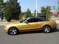  2010 Mustang V6 Premium Convertible Sunset Gold Metallic