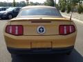 2010 Sunset Gold Metallic Ford Mustang V6 Premium Convertible  photo #6