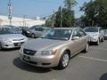 Golden Beige - Sonata GLS Photo No. 3