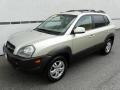 2007 Desert Sage Metallic Hyundai Tucson SE  photo #18