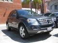 Steel Grey Metallic - ML 350 Photo No. 1