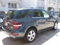 Steel Grey Metallic - ML 350 Photo No. 2