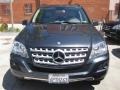 Steel Grey Metallic - ML 350 Photo No. 6