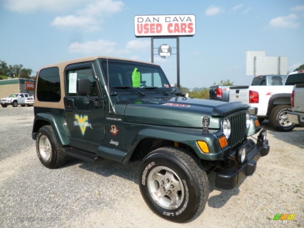 2002 Wrangler Sahara 4x4 - Shale Green Metallic / Camel Beige/Dark Green photo #1