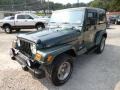 2002 Shale Green Metallic Jeep Wrangler Sahara 4x4  photo #3