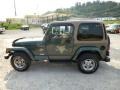 2002 Shale Green Metallic Jeep Wrangler Sahara 4x4  photo #4