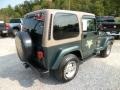 2002 Shale Green Metallic Jeep Wrangler Sahara 4x4  photo #7
