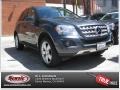 Steel Grey Metallic - ML 350 Photo No. 26